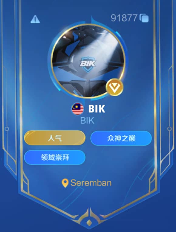 示例图片 3